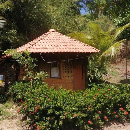 Ecopousada Casa Do Carimbo Fortalezinha อัลโกโดอัล ภายนอก รูปภาพ